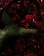Alien-Trafficking-088