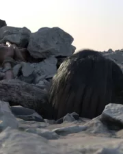 Buried-in-Stone-33