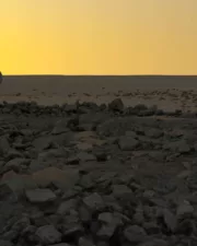 Buried-in-Stone-44