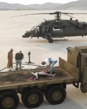 Buried-in-the-Desert-20