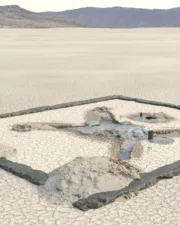 Buried-in-the-Desert-97