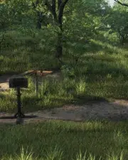 Buried-in-the-Forrest-006