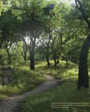 Buried-in-the-Forrest-096