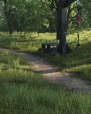 Buried-in-the-Forrest-118