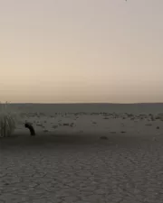 Burried-Woman-068
