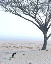 Burried-Woman-073