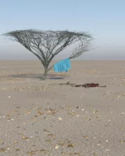 Burried-Woman-121
