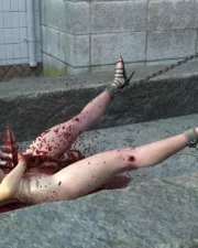 Car-Death-170