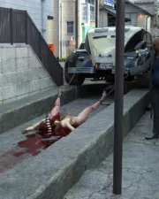 Car-Death-173
