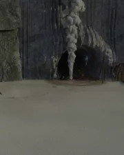 Dangerous-Planet-071
