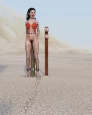 Desert-Debreasting-56