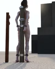 Desert-Debreasting-57