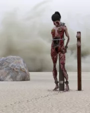 Desert-Debreasting-59