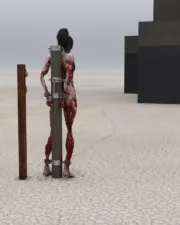 Desert-Debreasting-60
