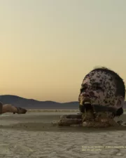 Desert-Fun-30