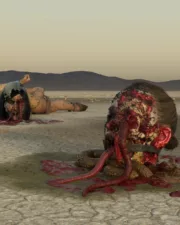 Desert-Fun-43