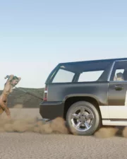 Desert-Run-035