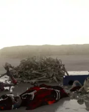 Desert-Run-241