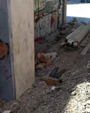 Encased-in-Concrete-22