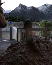 Farm-Of-Death-076