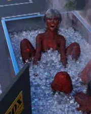 Fire-and-Ice-48