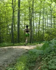 Forrest-Remastered-002