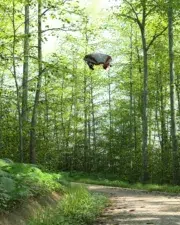 Forrest-Remastered-007