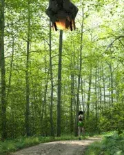 Forrest-Remastered-008
