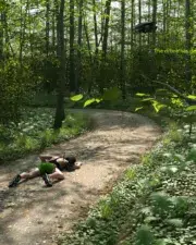 Forrest-Remastered-027