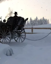 Frozen-008