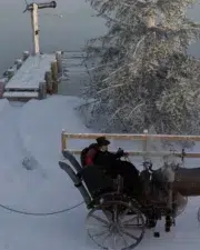 Frozen-009