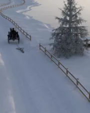 Frozen-092