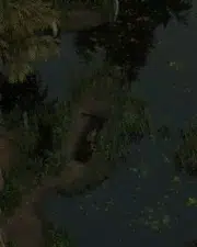 Grave-34
