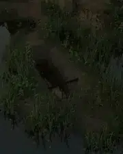 Grave-37