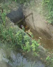 Grave-38