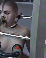 Hard-Feeding-25