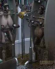 Hard-Feeding-80