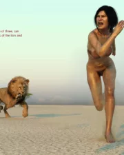 Lions-052