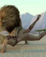 Lions-061