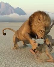 Lions-063