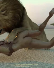 Lions-066