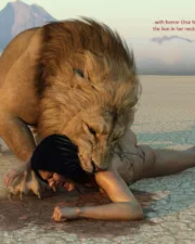 Lions-067