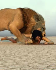 Lions-070
