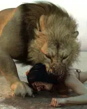 Lions-071