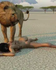 Lions-074