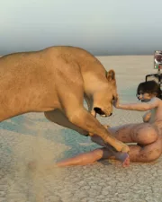 Lions-103