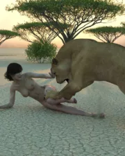 Lions-104