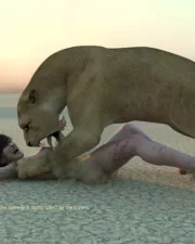 Lions-106