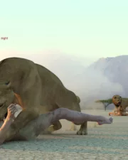 Lions-107