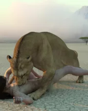 Lions-111
